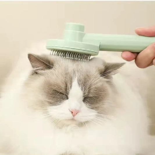 Hair Grooming and Massage Brush